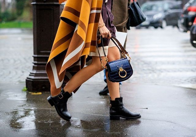 Collection Automne